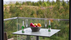 A table with a fruit basket, two wine bottles, and two wine glasses on a balcony overlooking a natural landscape. - Apartment with sea view, 2 bedrooms and balcony (Ostseebad Binz)