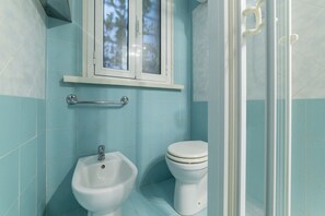 Shower, hair dryer, bidet