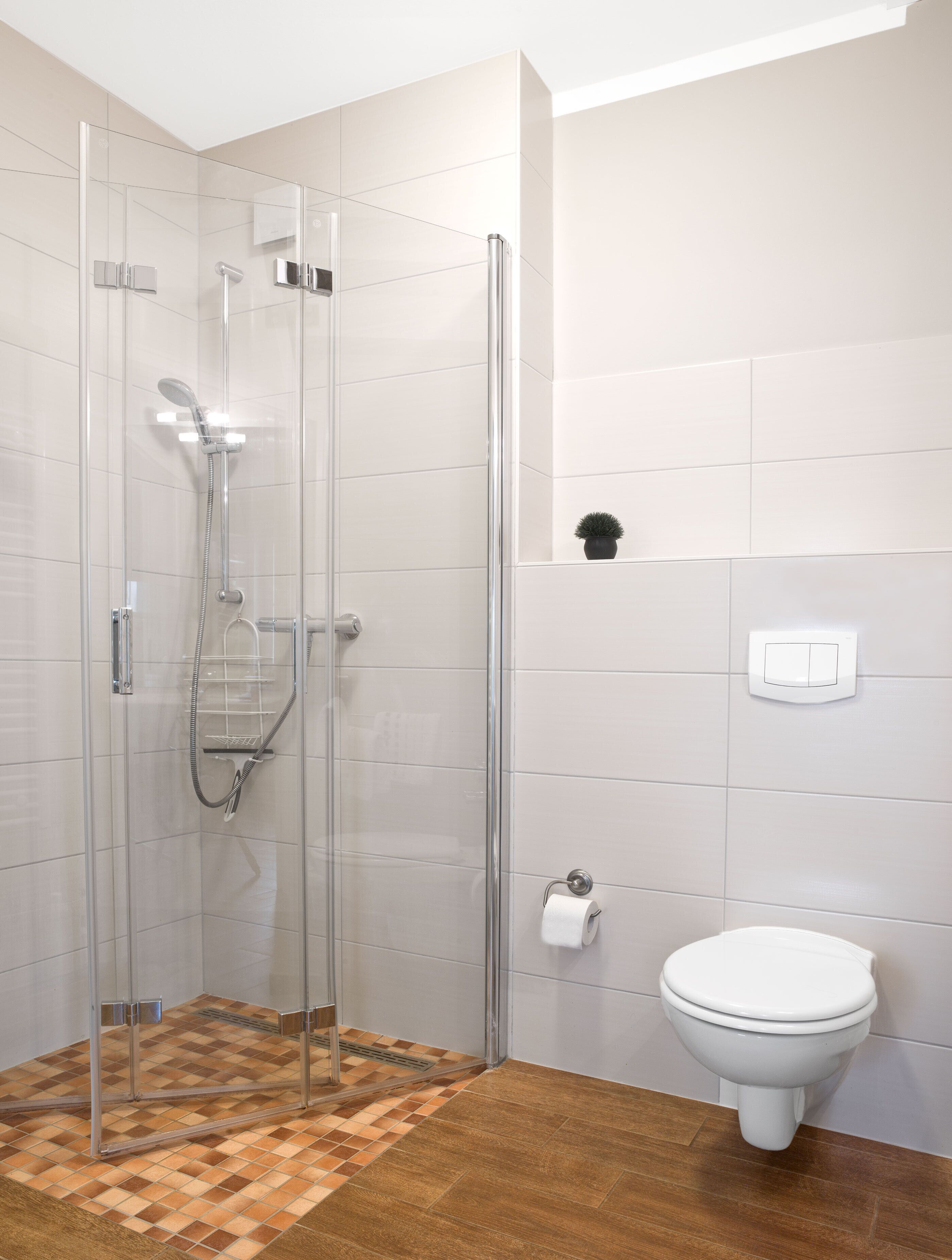 A modern bathroom with a glass-enclosed shower, a toilet, and a small potted plant on the wall.