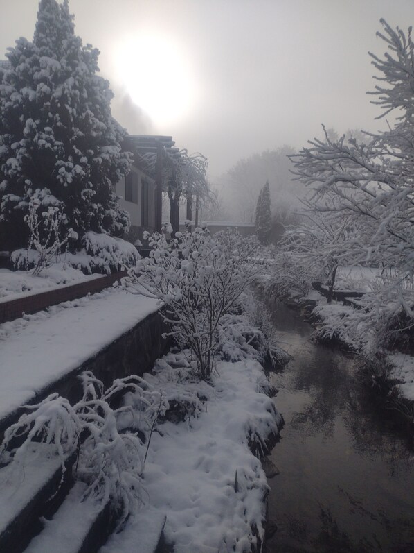 Terrein van de accommodatie