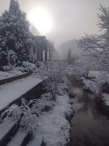 Villa Serbota with park-like garden crossed by a mountain stream