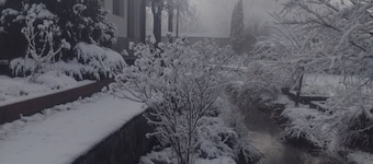 Villa Serbota with park-like garden crossed by a mountain stream