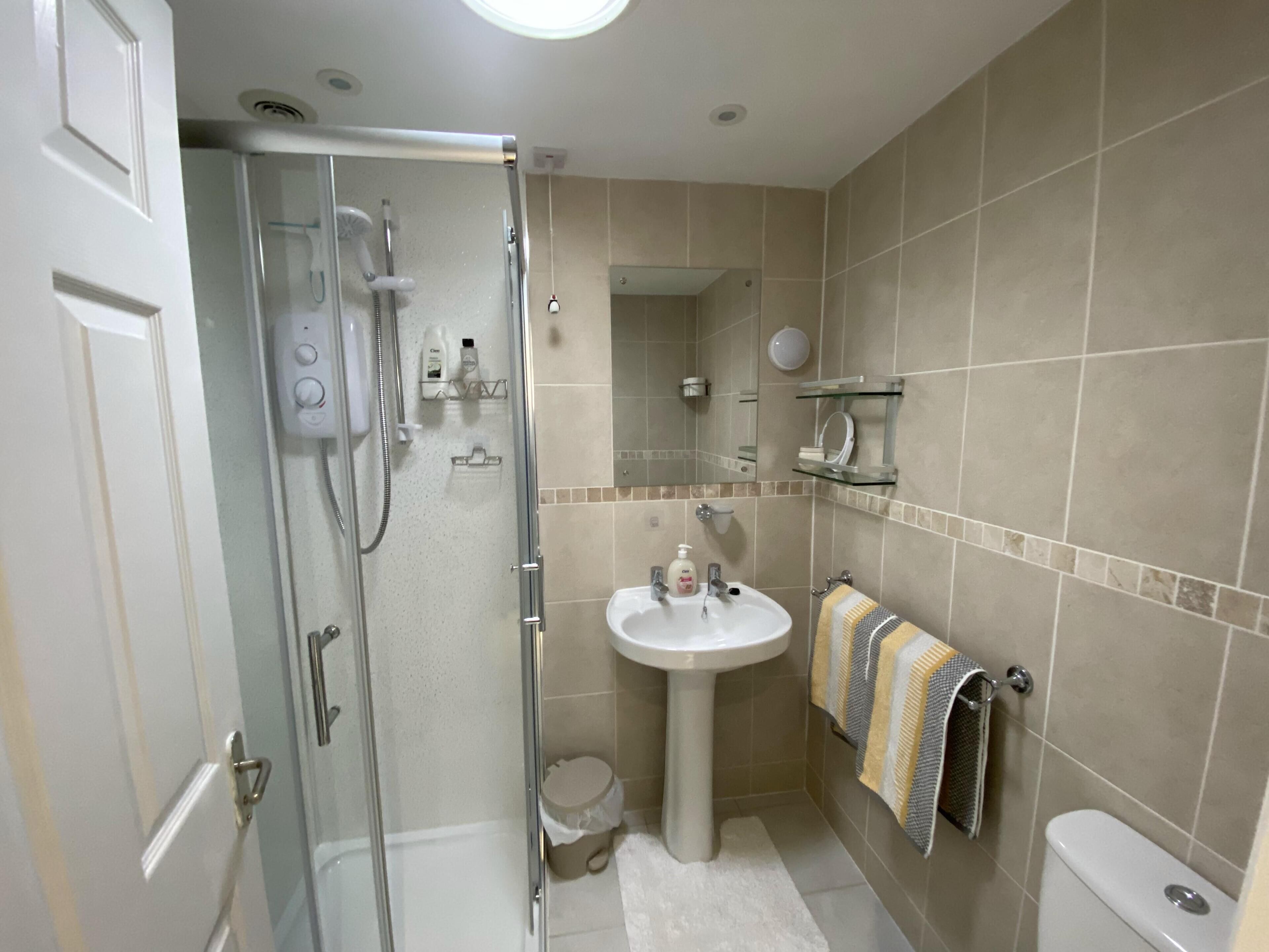 Apartment | Bathroom | Shower, hair dryer, towels