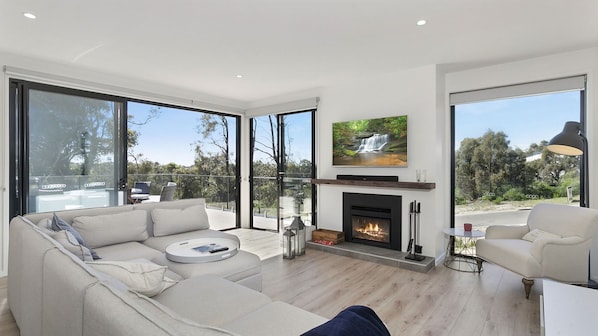 TV, fireplace, music library