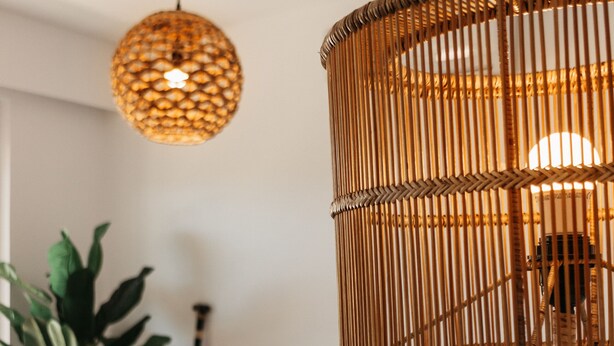 Un salon moderne avec une lampe en rotin suspendue, un canapé, une petite table en bois et une plante en pot.