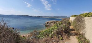 Am Strand