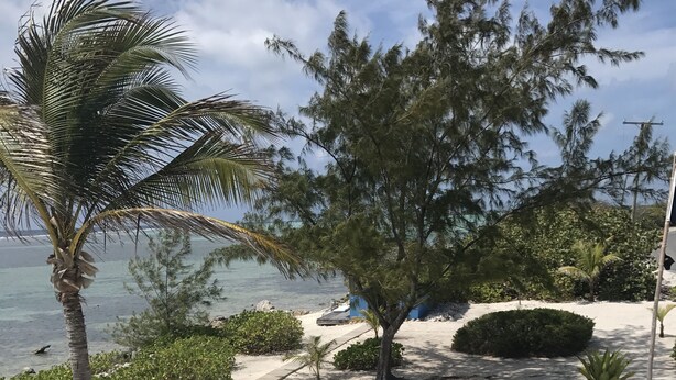 Un sentier sablonneux bordé de palmiers et d’arbustes, qui mène à une plage offrant une vue dégagée sur l’océan.