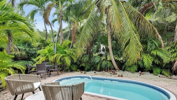 Une piscine entourée de palmiers et agrémentée de meubles en osier.