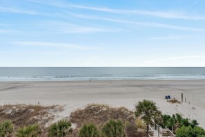 A beach with a clear sky, sandy shore, and some vegetation in the foreground. - Recently Renovated, oceanfront condo + Free Attraction Tickets! (Myrtle Beach)