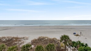 Une plage avec un ciel dégagé, un rivage sablonneux et quelques plantes au premier plan.