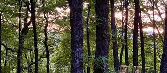 Peaceful Ivy Ridge - w/waterfalls, hikes + hot tub!