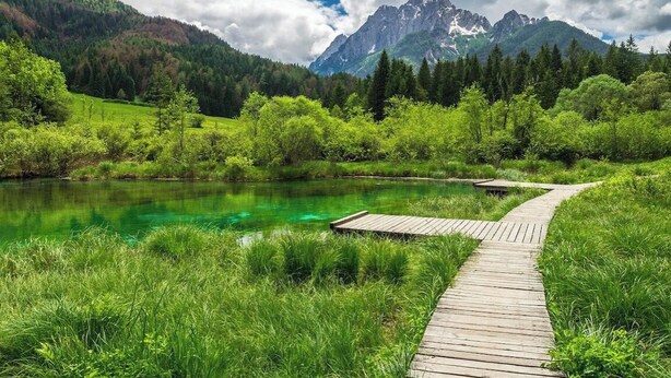 Una pasarela de madera que lleva a un lago tranquilo con montañas al fondo.