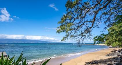 Stunning Oceanfront Retreat with Spectacular Views and New Upgrades!