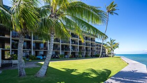 Un hôtel situé en bord de mer, doté de nombreux balcons, de palmiers et offrant une vue dégagée sur l’océan.