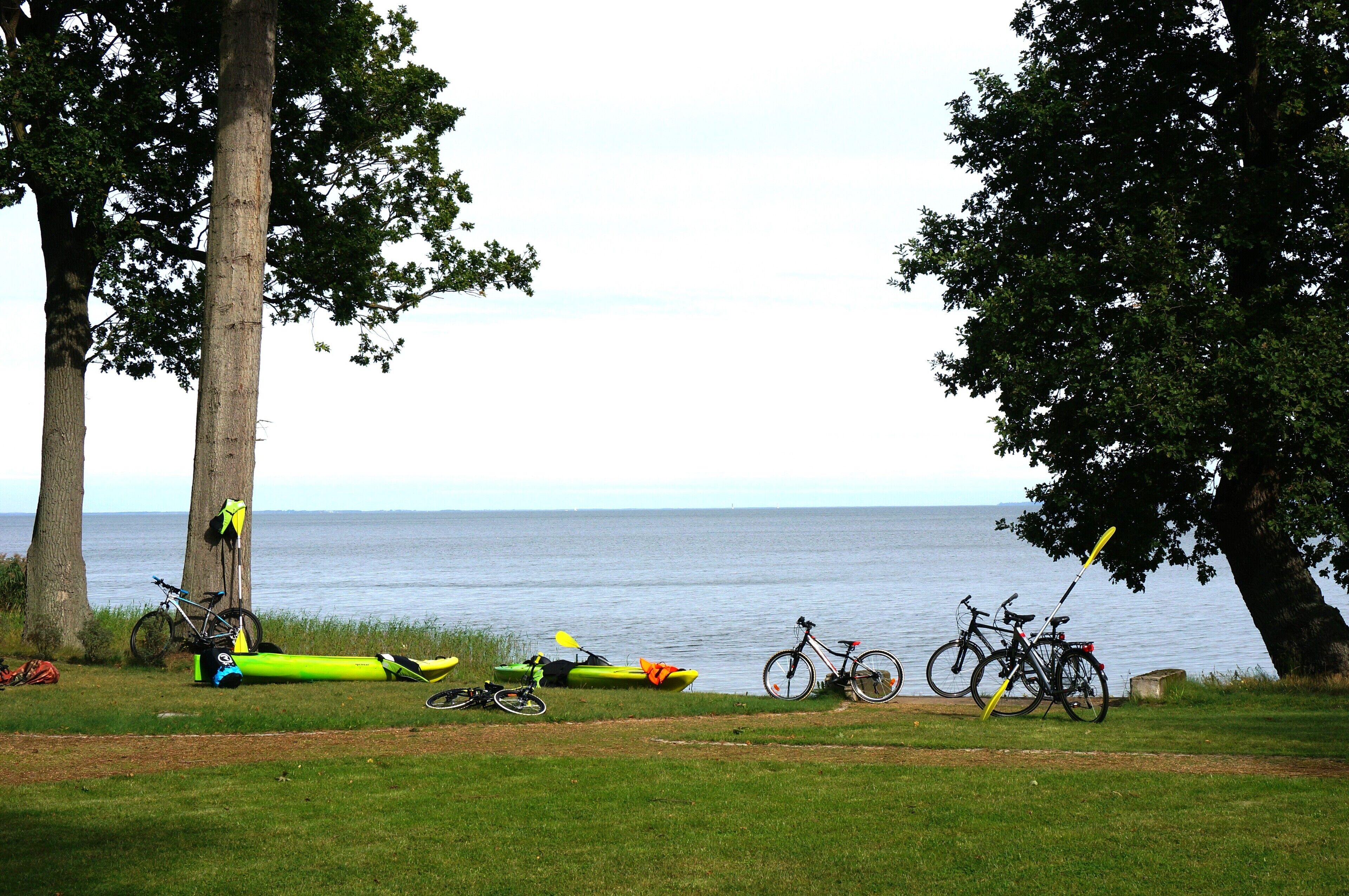 Plage privée, chaises longues, parasols, serviettes de plage
