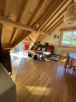 TV, DVD player - Appartement au Rocher du cerf à deux pas du centre (Le Lioran)