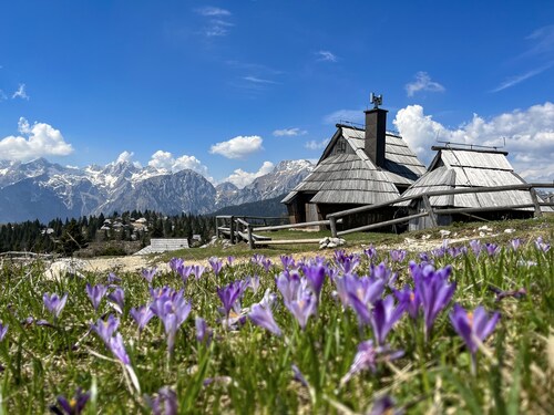Chalet Kočna in the heart of Velika planina