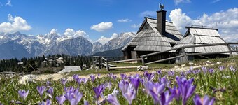Chalet Kočna in the heart of Velika planina