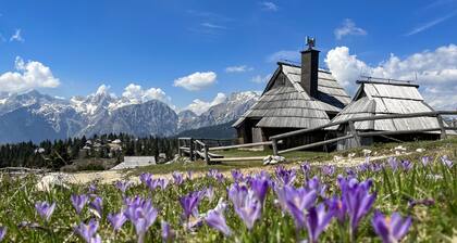 Chalet KoÄna in the heart of Velika planina
