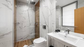 Een moderne badkamer met douche, toilet en wastafel.