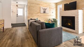 TV, fireplace, books