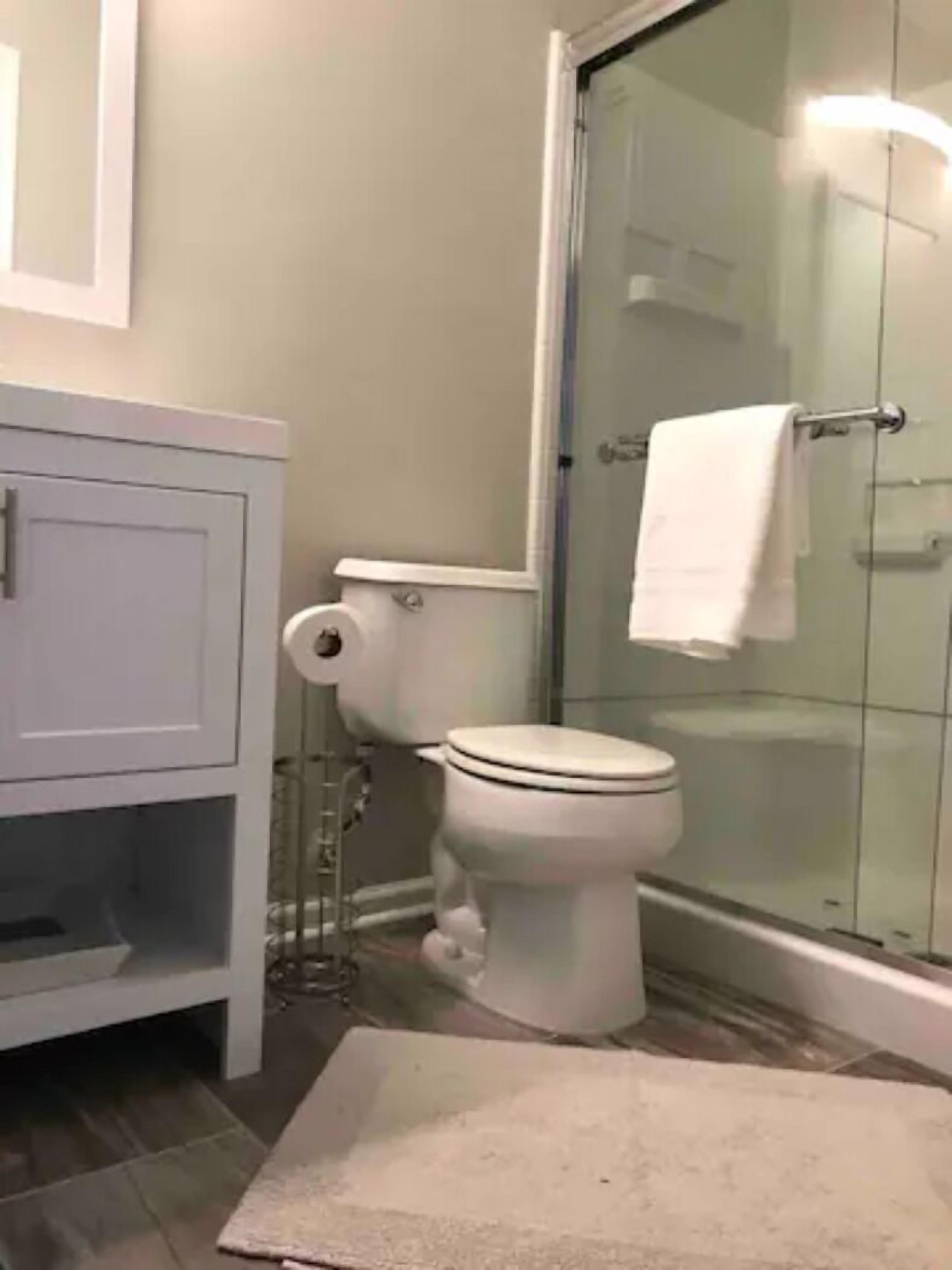 Chuveiro, secador de cabelo, toalhas de banho, sabonete