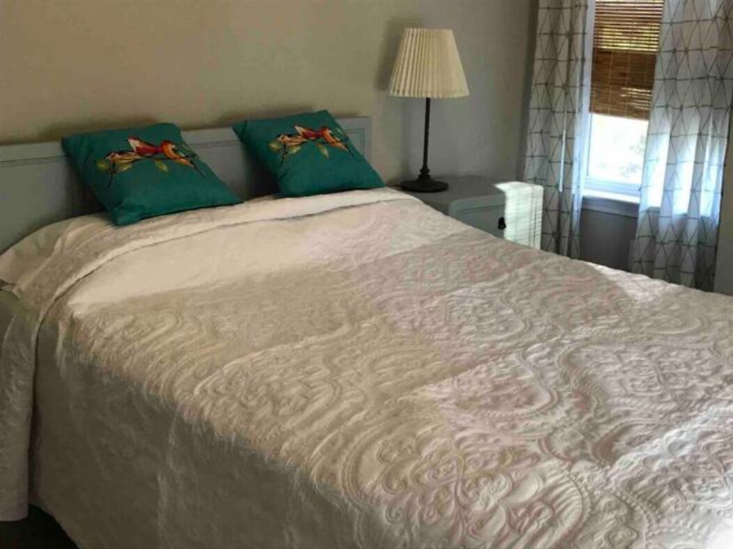 A neatly made bed with a patterned bedspread, two pillows with a bird design, a bedside lamp, and a window with curtains.