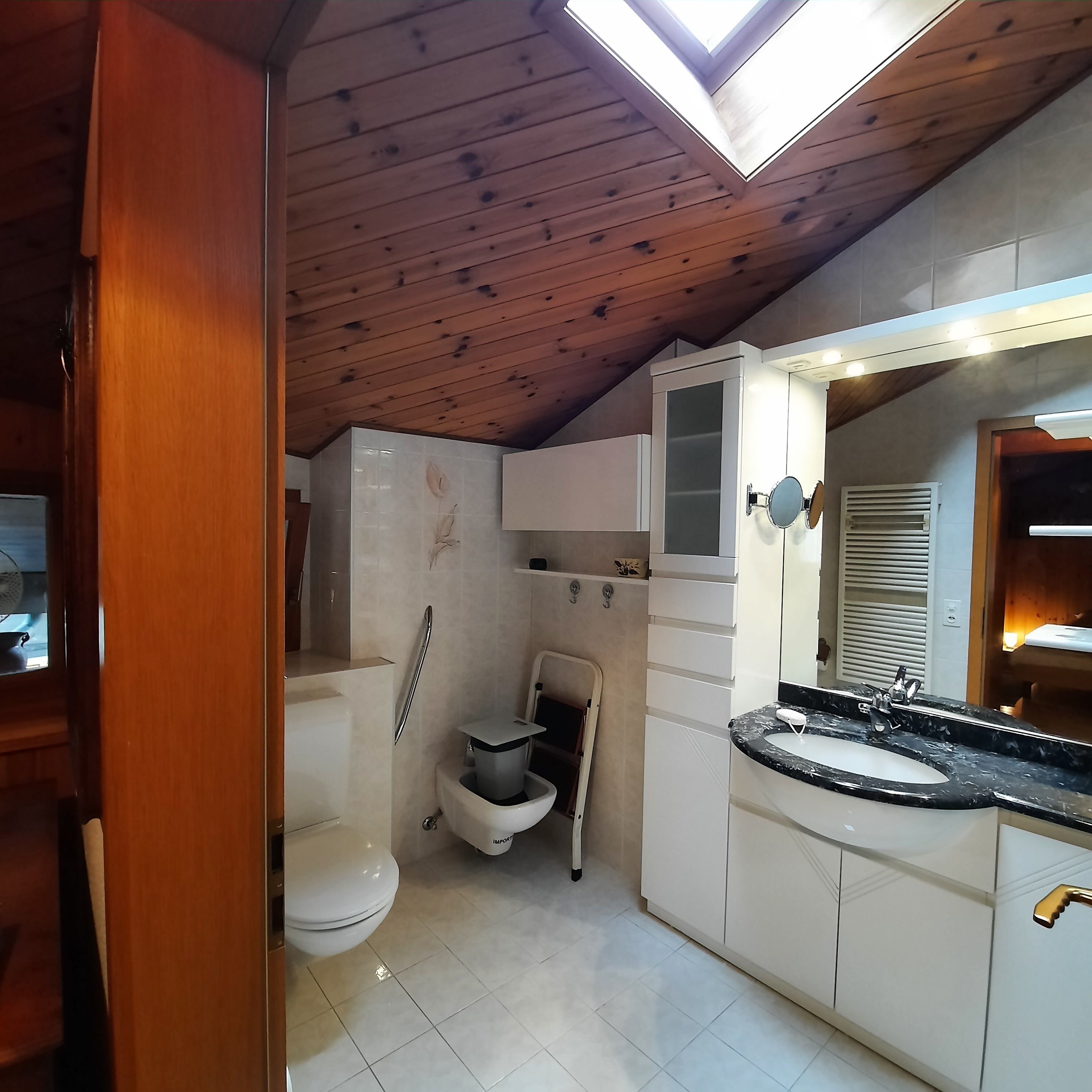 Un baño pequeño con tragaluz, inodoro, bidé y lavabo con tocador.