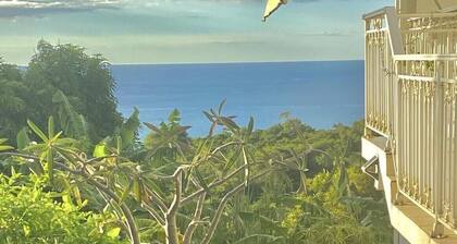 Large Comfortable Holiday Apartment