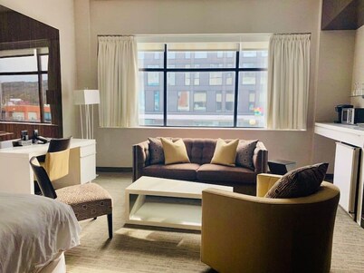 Room in luxurious downtown property