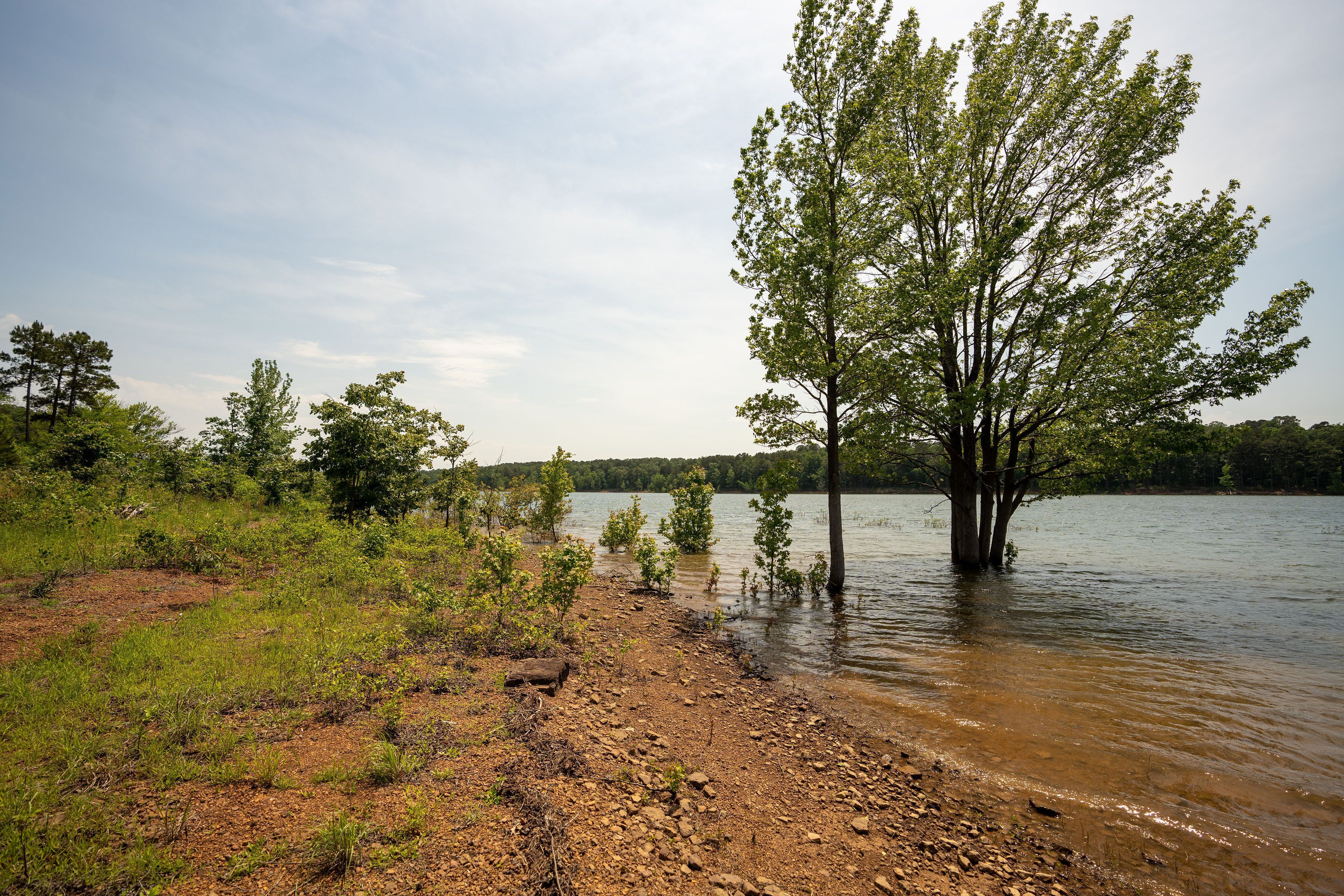 Top 7 Lake Cabin Rentals In Greers Ferry, Arkansas Trip101
