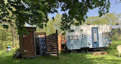 Glamping with sheep in a renovated 1972 Ace camper on 48 acres