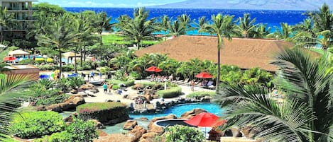 Un resort con piscina, palme e vista sull'oceano.