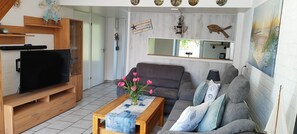 Smart TV, fireplace, DVD player, video library
