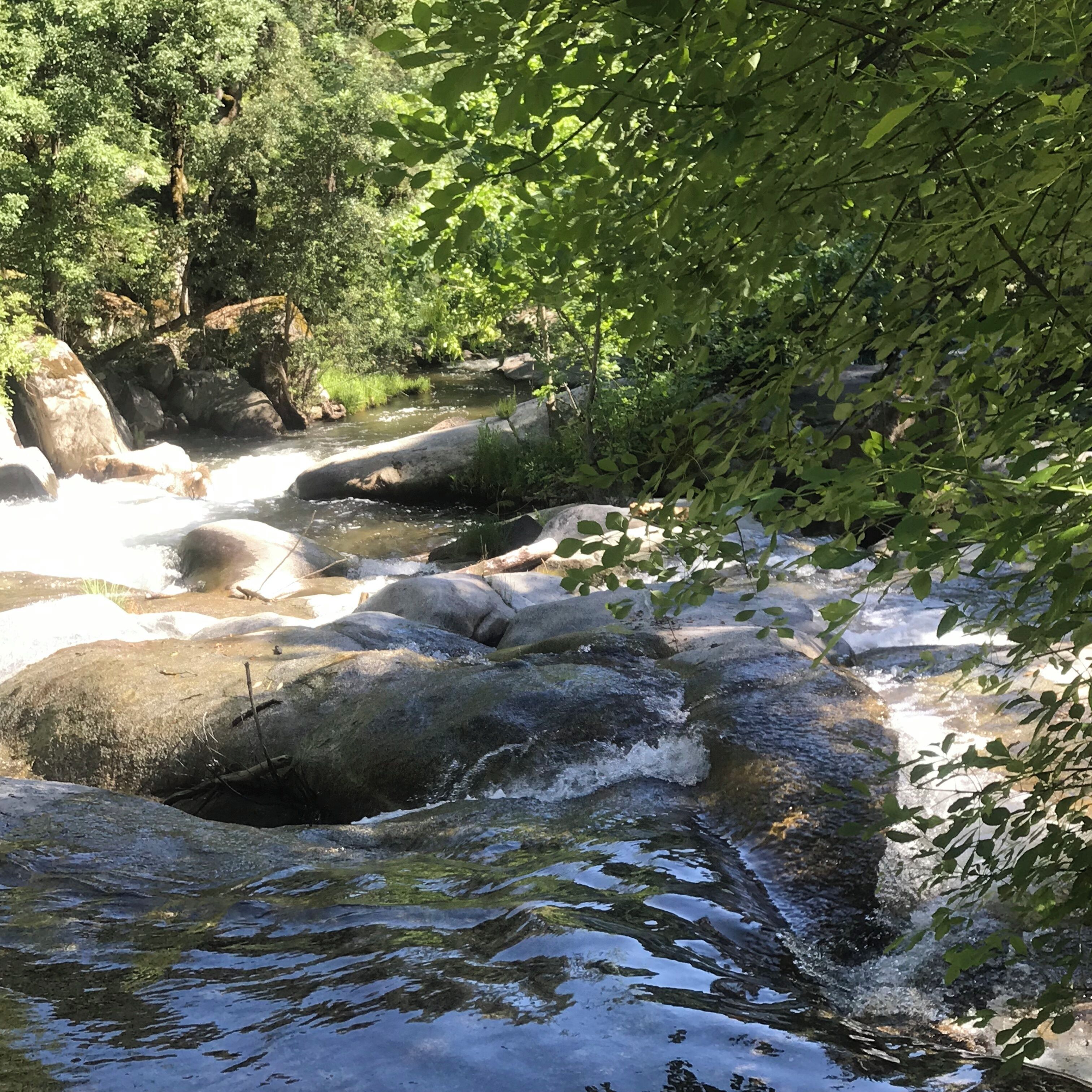 A river flowing through a rocky landscape with trees and foliage.
