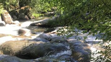 A river flowing through a rocky landscape with trees and foliage.