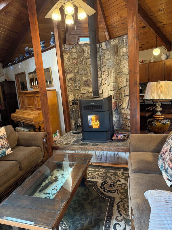 Smart TV, fireplace, books, computer monitors