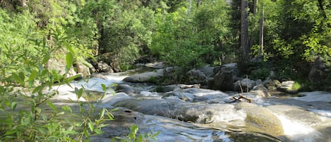 シャワー付き浴槽、ジェットバス、ヘアドライヤー、タオル