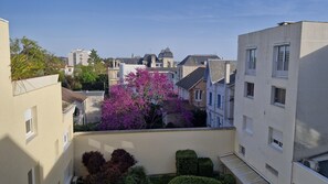 Property grounds - Royan - Quiet BRIGHT STUDIO - 30m from the BEACH - PARK area (ROYAN)