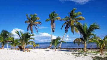 En la playa, camastros y toallas de playa
