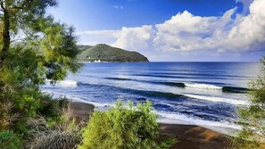 Playa en los alrededores 