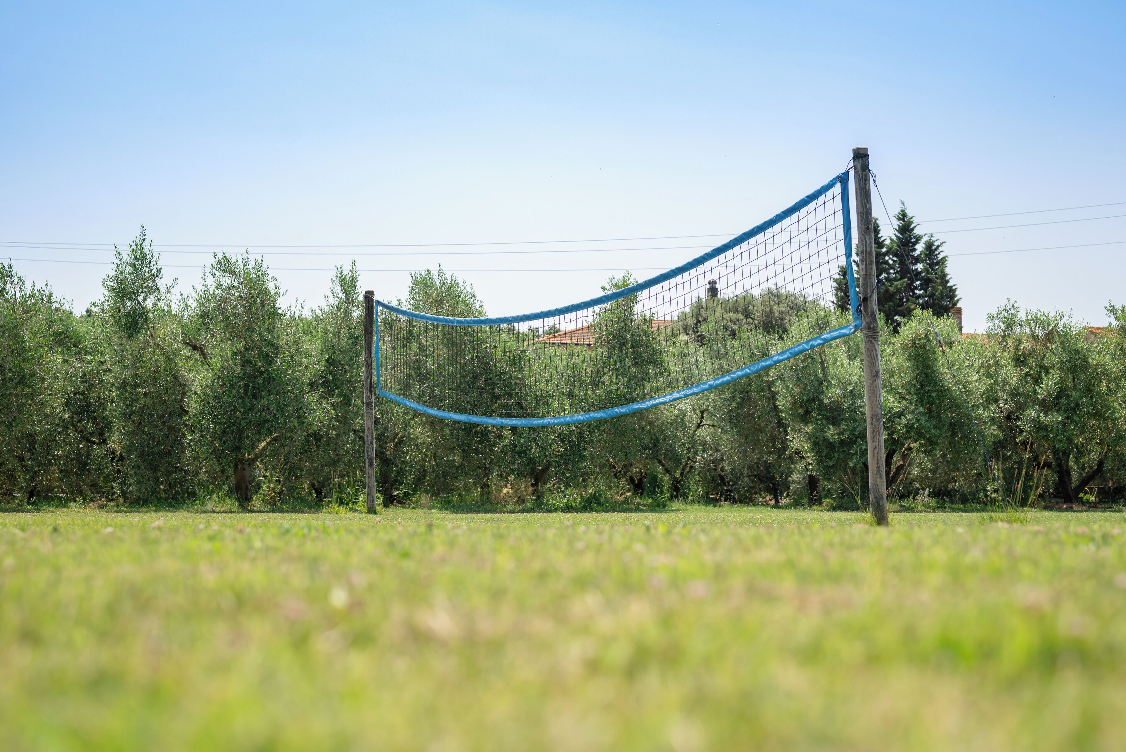 A volleyball net in a grassy field with trees and a building in the background.