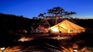 A large tent set up in a forested area at night with a clear sky.