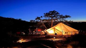 A large tent set up in a forested area at night with a clear sky.