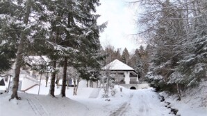 A snow-covered path leading to a building with a balcony, surrounded by trees. - Apartment Bergblick in an idyllic location on the edge of the forest, 5 min. to the waterfall (Triberg im Schwarzwald)