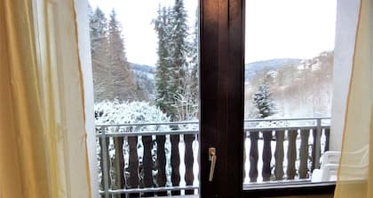 Apartment Bergblick in idyllischer Lage am Waldrand, 5 Min. zum Wasserfall