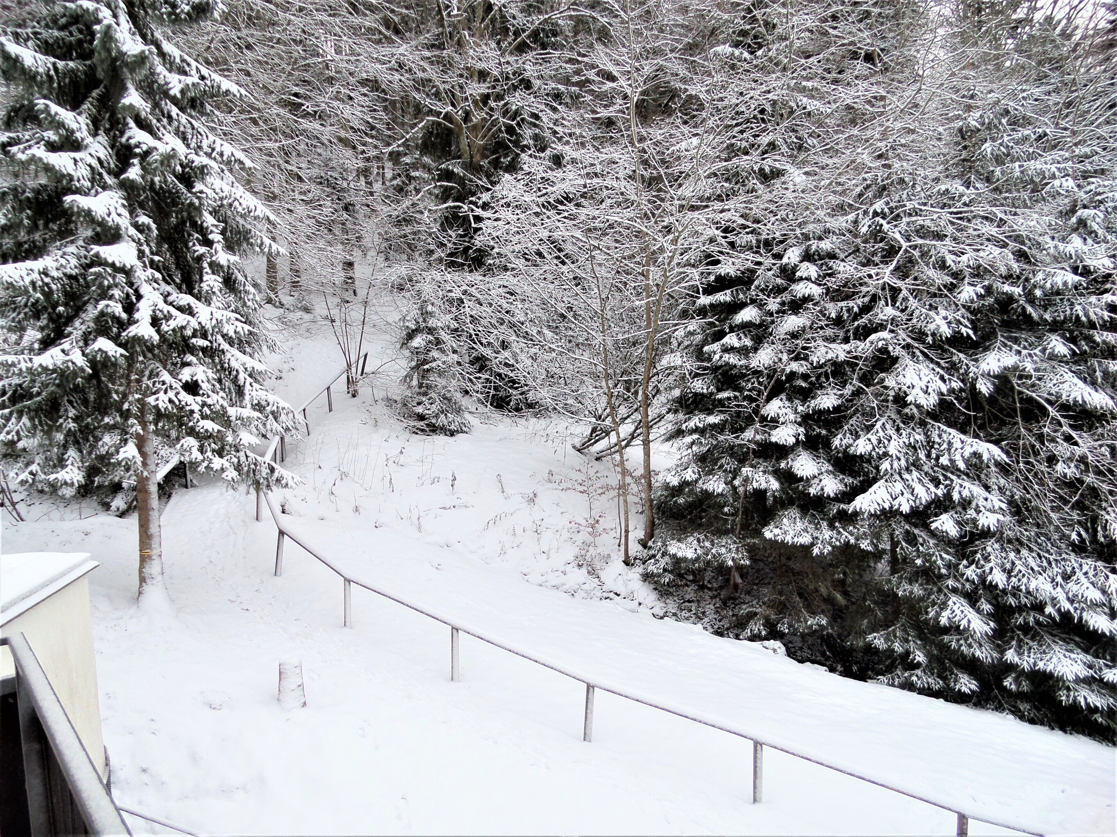 A snowy landscape with snow-covered trees and a snow-covered path.