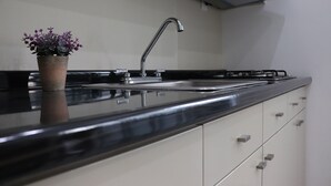 A kitchen with a stainless steel sink, a potted plant, and a modern faucet. - Mar Sol (Mazatlán)