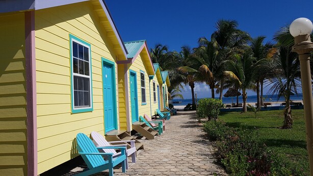 A row of yellow buildings with turquoise trim and windows, a paved pathway, and palm trees.