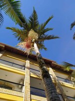 Una playa cerca, arena blanca, sillas reclinables de playa, sombrillas